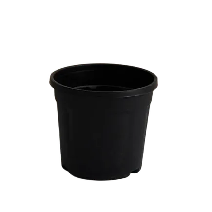 Buy 10 Inch Nursery Pot - Black Online | Urvann.com 10 Inch Nursery Pot - Black