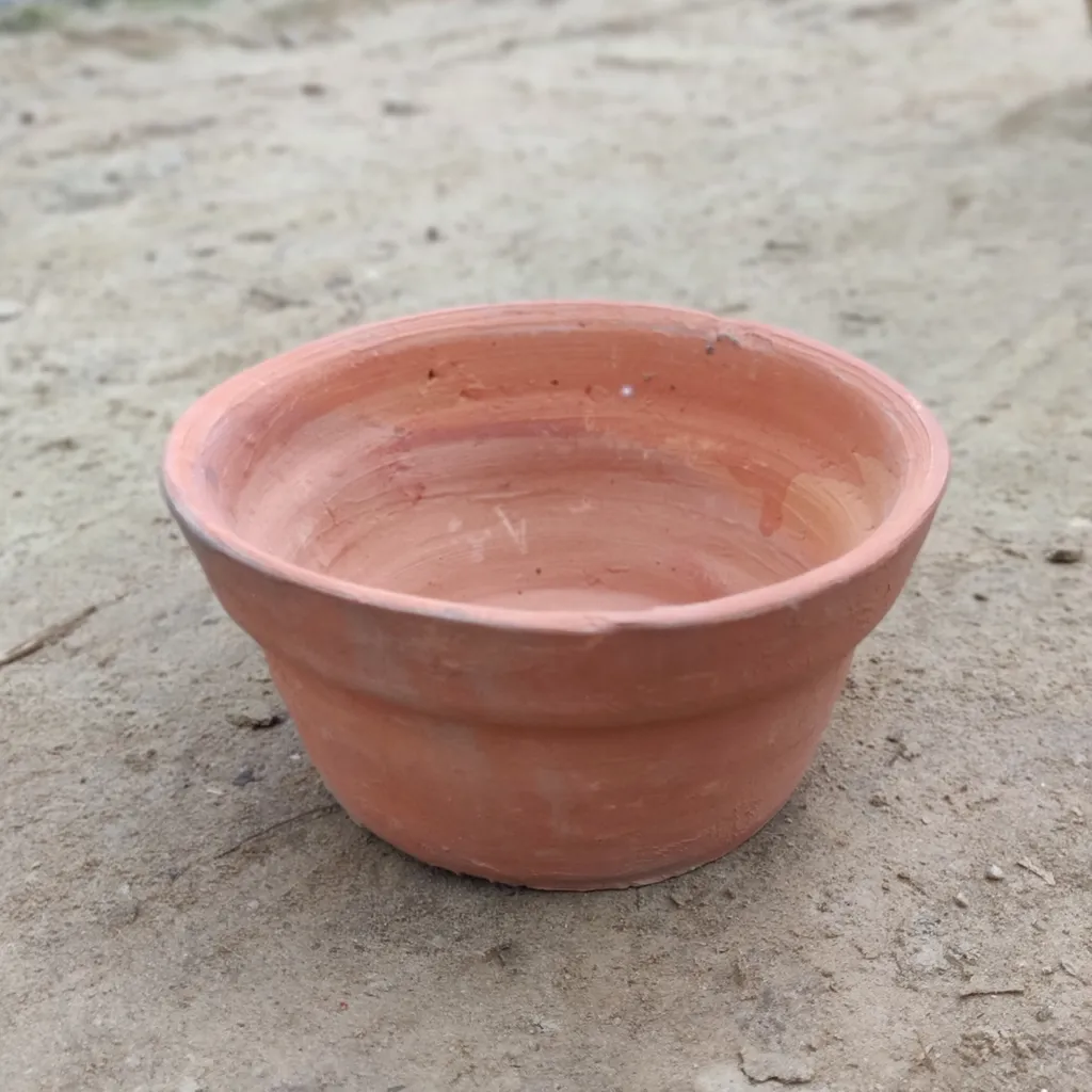 Buy 6 inch Terracotta Bowl Planter Online | Urvann.com 6 inch Terracotta Bowl Planter