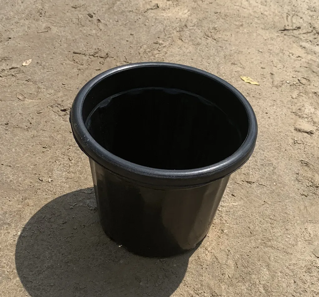 Buy 4 inch - Black Nursery Pot Online | Urvann.com 4 inch - Black Nursery Pot