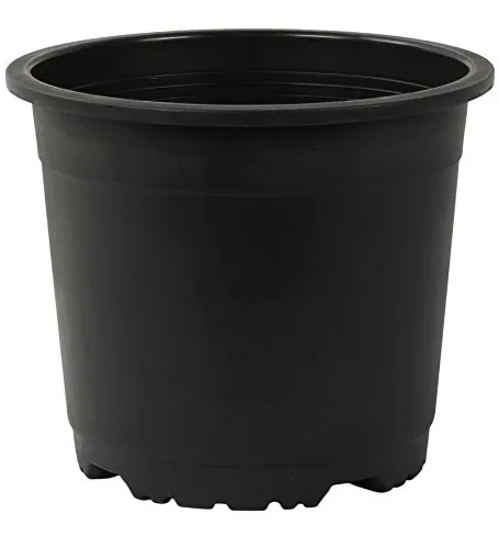 Buy 5 inch - Black Nursery Pot Online | Urvann.com 5 inch - Black Nursery Pot