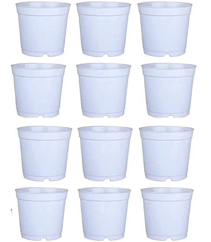 Buy Set of 12 - 8 inch White Nursery Pot Online | Urvann.com Set of 12 - 8 inch White Nursery Pot