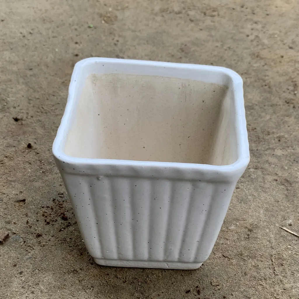Buy 4X4 Inch Designer Square Ceramic Planter Online | Urvann.com 4X4 Inch Designer Square Ceramic Planter