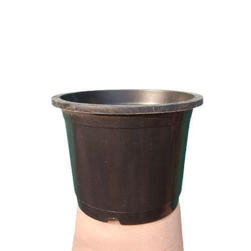 Buy 8 Inch Black Nursery Plastic Pot Online | Urvann.com 8 Inch Black Nursery Plastic Pot