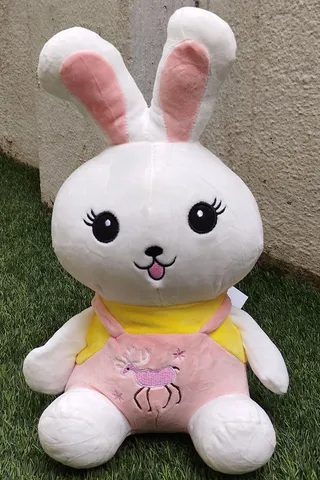 Happy Rabbit  -White and Pink
