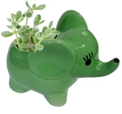 Ceramic Cute Elephant Planter: Indoor Outdoor Flower Pot Table Decor, Green (12543C)