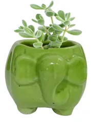 Ceramic Cute Elephant Planter: Indoor Outdoor Flower Pot Table Decor, Mini (12549)
