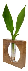 Wooden Planter with Glass Tube Unique Design Flower Vase Flower Pot (12630)