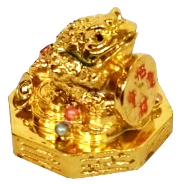 Resin Idol Golden Frog with Chinese Symbols Coin: Fengshui Good Luck Charm (11868)