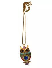 Necklace With Long Chain And Colorfully Embellished Funky Metal Owl Pendant (30071)