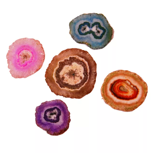 Agate Slices - Set of 5 Assorted Polished Geode Slices, Grade A 1-1.5 inch (11355)