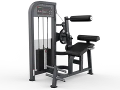 BACK EXTENSION/AB CRUNCH PF 1005