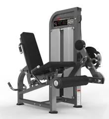 LEG EXTENSION/PRONE LEG CURL PF 2007