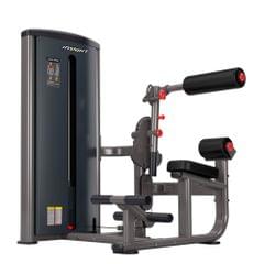 INSIGHT BS013 ABDOMINAL / BACK EXTENSION