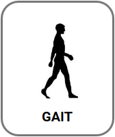 Gait Analysis Software