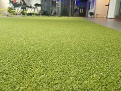 Gym Astro turf