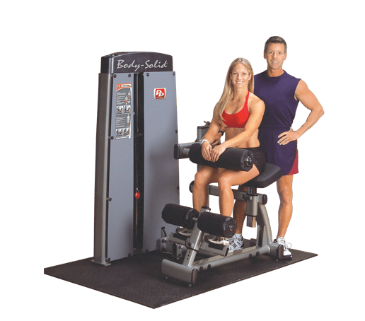 BODY SOLID PRO DUAL AB AND BACK MACHINE DABB-SF