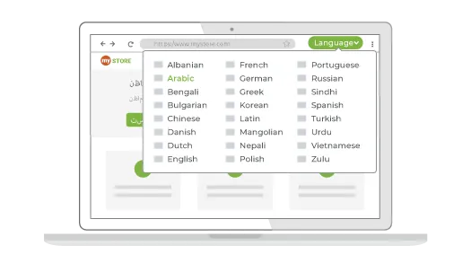 Feature to build a Multilingual ecommerce website offered as part of StoreHippo B2B ecommerce solutions.