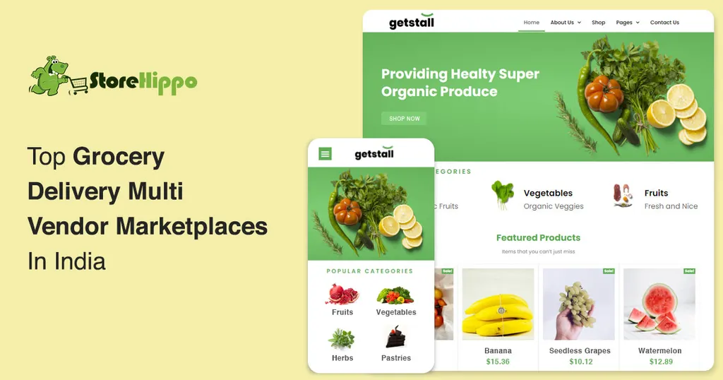 5 Best Grocery Delivery Multi Vendor Marketplaces in India