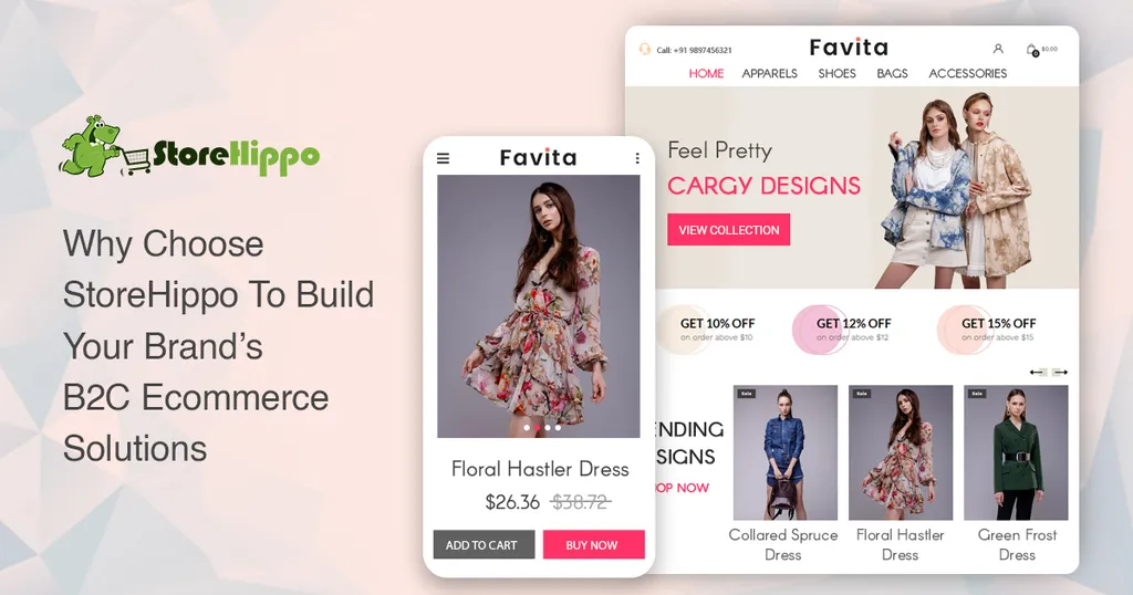 10 reasons why StoreHippo is the best B2C ecommerce solution for fast-growing brands
