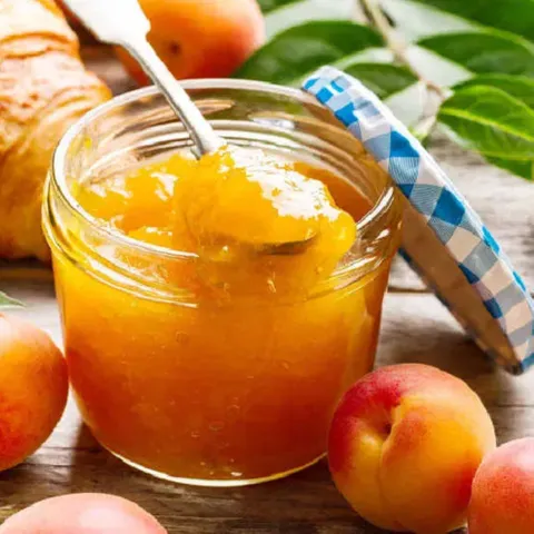 Apricot Spicy Spread From Himalayas