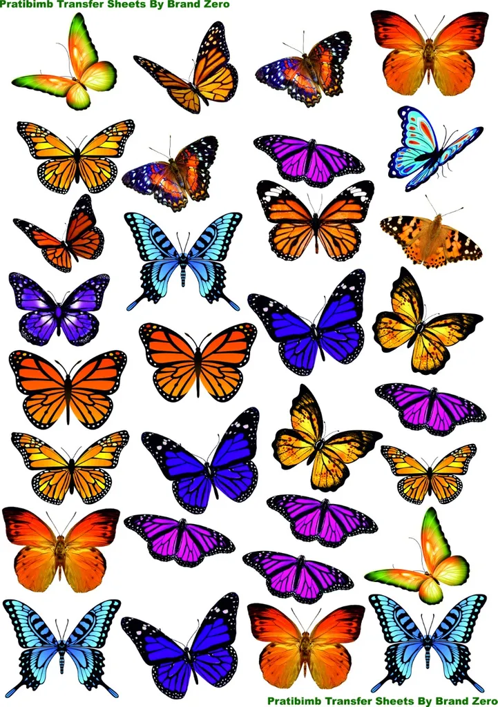 Brand Zero Pratibimb Transfer Sheets - Colorful Butterflies