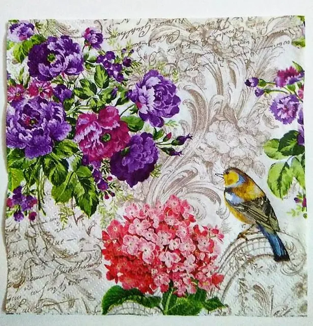 Decoupage Napkin / Tissue papers - 33cm by 33cm - Birdy Background