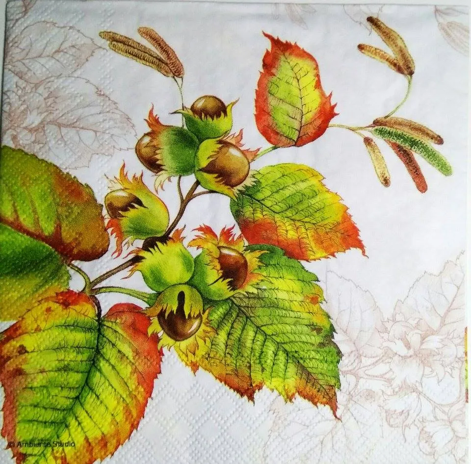 Decoupage Napkin / Tissue papers - GT1082