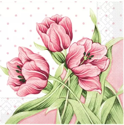 Decoupage Napkin / Tissue papers - GT3514