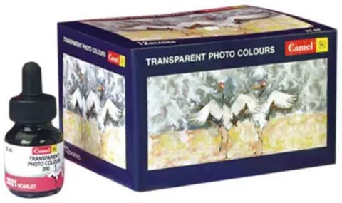 Camlin Transparent Photo Colours  - 12 shades 20 ml each color