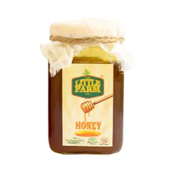 Wild Forest Honey - 450 gms