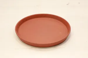 Plate- Set of 1