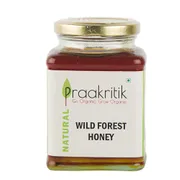 Natural Wild Forest Honey 500 gms