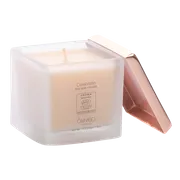 Celebrate Soy Candle 120 gms