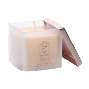 Repel Soy Candle 120 gms