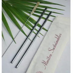 Stainless Steel straw (Straight) Pack of 2 with 1 Cleaner
