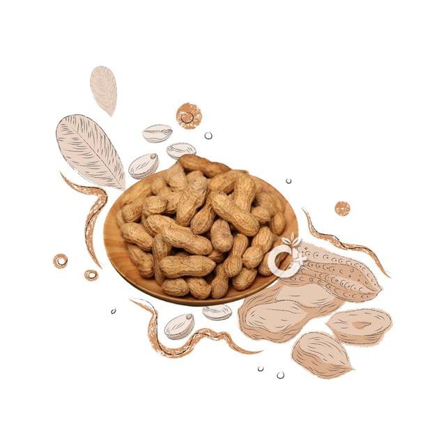 Organic Positive - Groundnut - Kadalai-1 kg-1000 gms