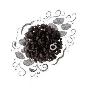 Organic Positive - Black Raisin - Karuppu Thirachai
