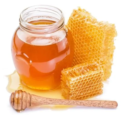 Thinal Organics - Natural Forest Honey - 500 gms