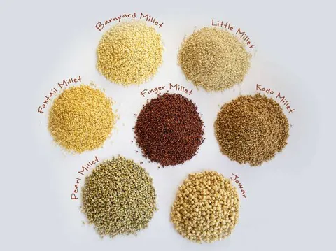Spice Pot - Millet Dosa Mix