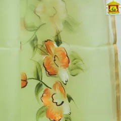 Sri Boutique - Hand Painted Pure Organza Saree