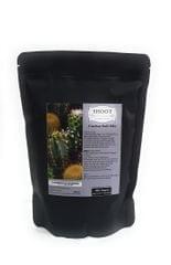 ARTium-  Cactus Soil Mix