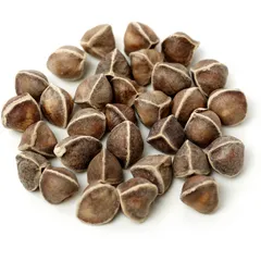 Organic Positive - Moringa Seeds - 100 gms / 250 gms