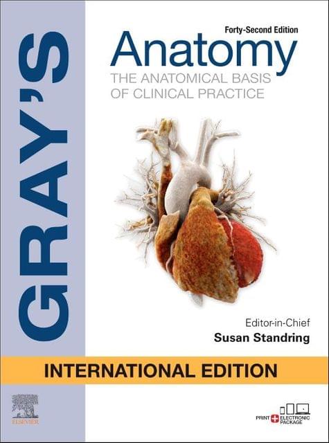 Gray's Anatomy 42nd International Edition 2020 by Susan Standring