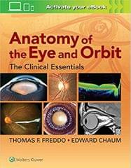 Freddo T F Anatomy Of The Eye And Orbit The Clinical Essentials 2018