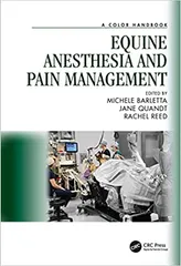 A  Color Handbook Equine Anesthesia And Pain Management 2023 by Barletta M