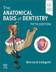 The Anatomical Basis Of Dentistry With Access Code 5th Edition 2024 By Bernard Liebgott