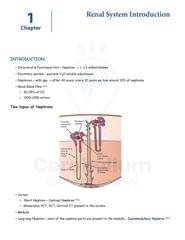 Anaesthesia Cerebellum Notes