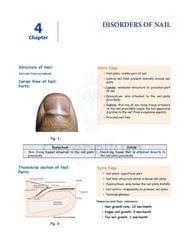 Dermatology Cerebellum Notes