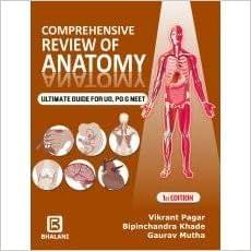Comprehensive Review Of 
Anatomy: Ultimate Guide F 1st 2020 By Pagar