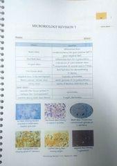 Microbiology Rapid Revision 6.5 Marrow Notes